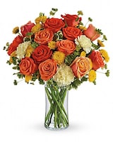 Deluxe size, 14 inches height and 11 inches wide.