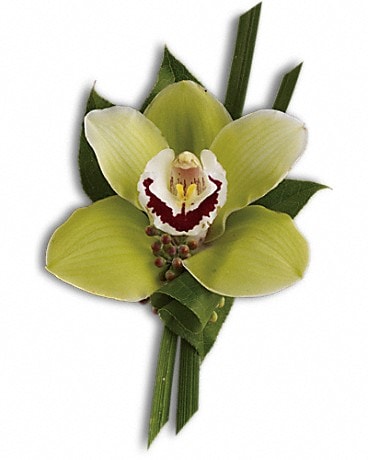 Green Orchid Boutonniere Boutonniere