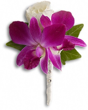 Fresh in Fuchsia Boutonniere Boutonniere