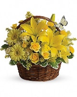 Standard size, 11 inches height and 12 inches wide.