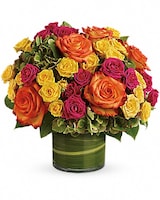 Deluxe size, 13 1/4 inches height and 13 inches wide.