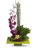 Standard size, 23 inches height and 12 1/4 inches wide.