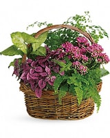 Standard size, 15 and a half inches height and 15 and a half inches wide.