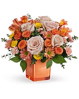 Deluxe size, 12 inches height and 13 and a half inches wide.