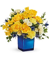 Deluxe size, 12 and a half inches height and 14 inches wide.