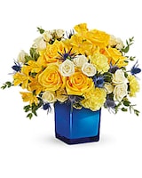 Premium size, 12 and a half inches height and 14 and a half inches wide.