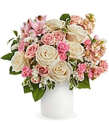 Premium size, 14 and a half inches height and 15 inches wide.