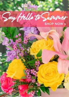Summer Flowers Delivery - Send Summer Flowers
