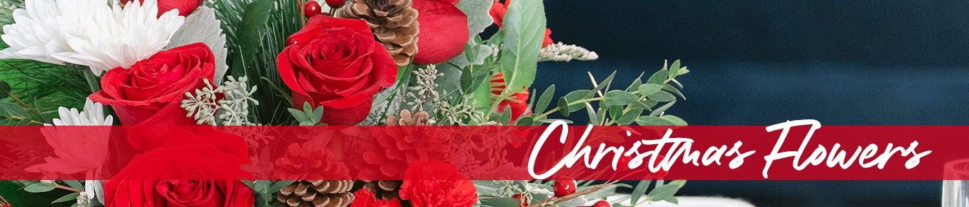 Christmas Flowers Delivery - Send Christmas Flowers