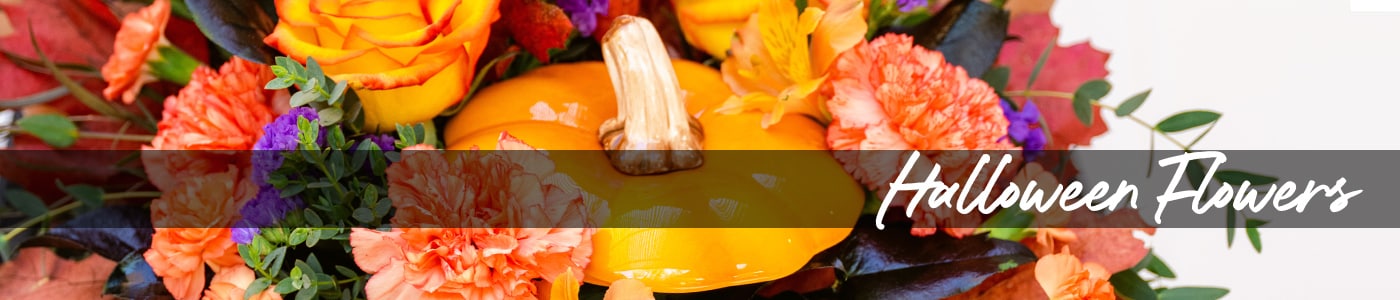 Halloween Flowers Delivery - Send Halloween Flowers